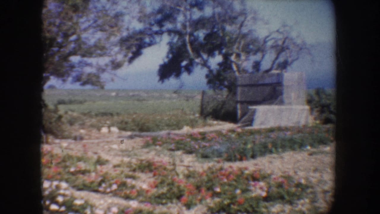 1962 California home-movie frame showing flowers, a dirt path, trees, open fields, and a concrete structure beyond the garden.