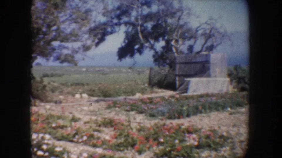 1962 California home-movie frame showing flowers, a dirt path, trees, open fields, and a concrete structure beyond the garden.