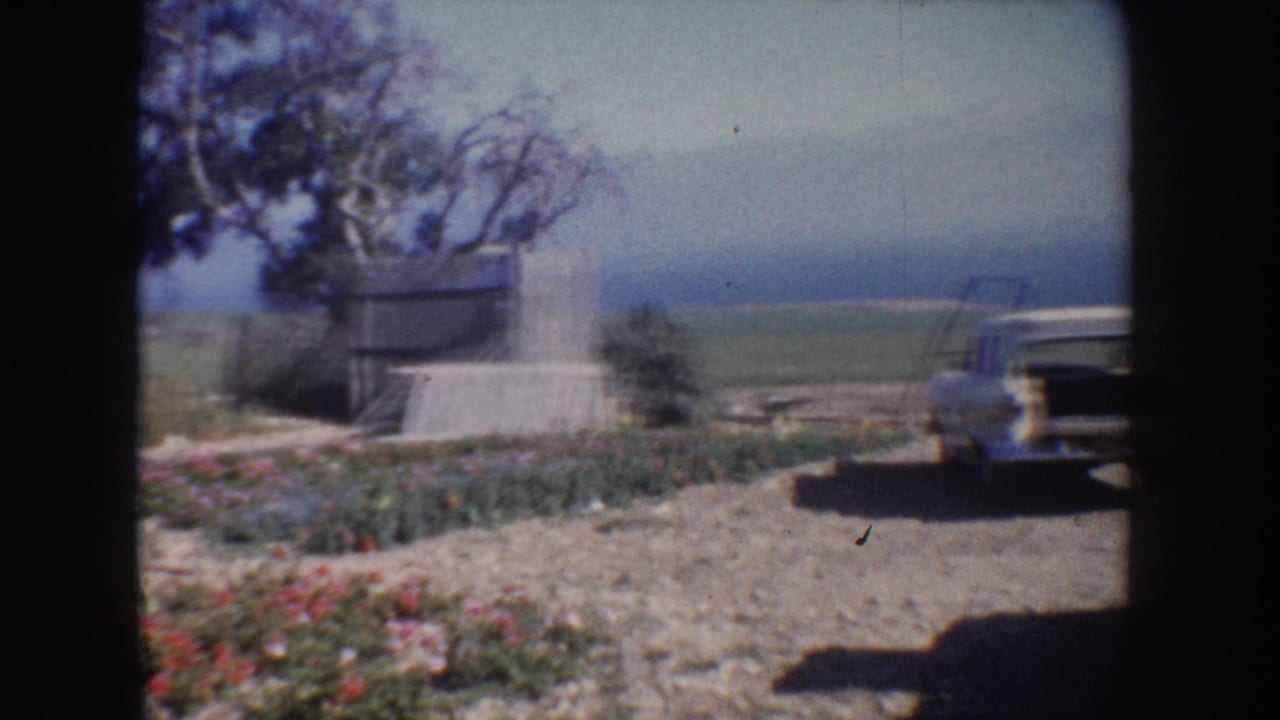 1962 California rural view with flowers, trees, a concrete structure, open fields, and part of a parked mid-century vehicle.