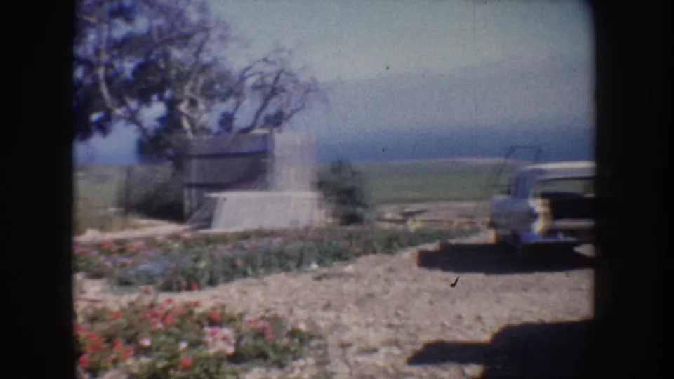 1962 California rural view with flowers, trees, a concrete structure, open fields, and part of a parked mid-century vehicle.