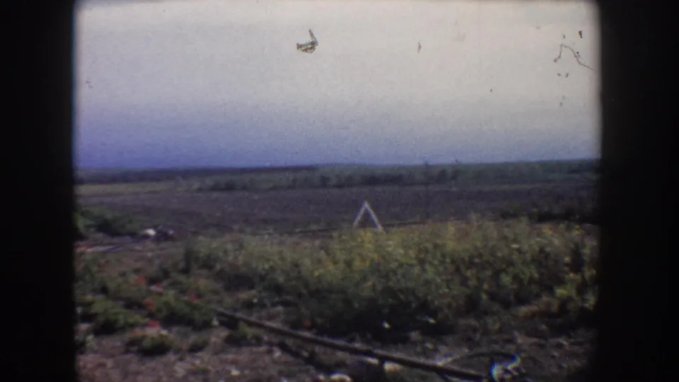 1962 California rural landscape with foreground flowers, tilled ground, open fields, and a distant low horizon under a hazy sky.