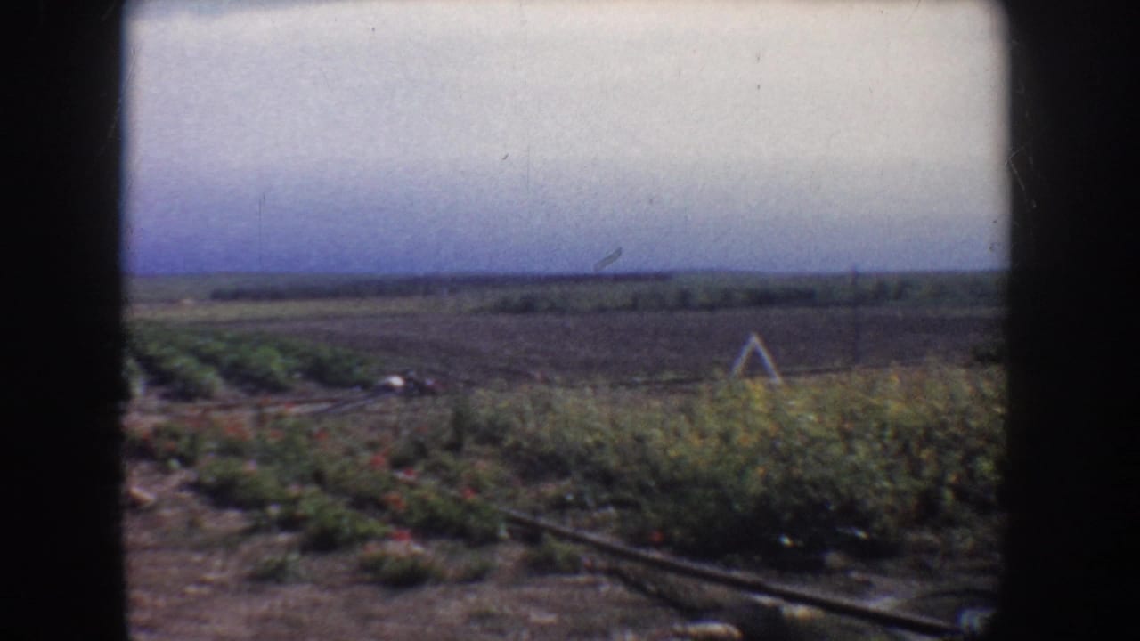 1962 California 8mm frame showing open farmland, crop rows, low brush, a distant horizon, and a small triangular marker.