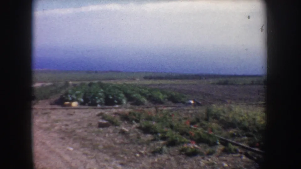 1962 California rural frame with a dirt road curving past crop rows, open fields, low vegetation, and blue sky.