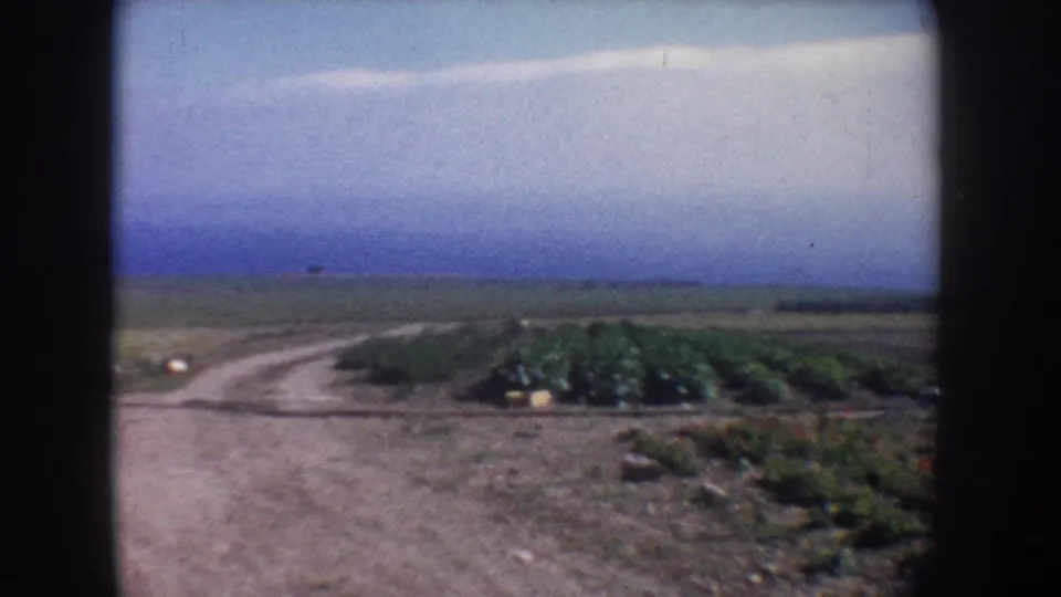 1962 California 8mm view of a curving dirt road crossing farmland with crop rows, bare ground, and a wide horizon.