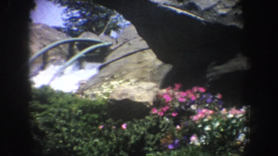 The frame shows water spray, landscaped flowers, shrubs, and rockwork in the Anaheim amusement park scene.