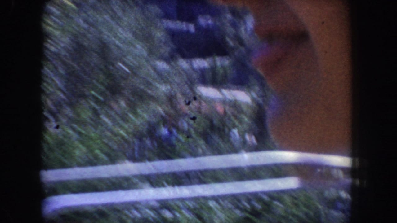 Blurred roadside guardrail and trees seen from inside a moving car.