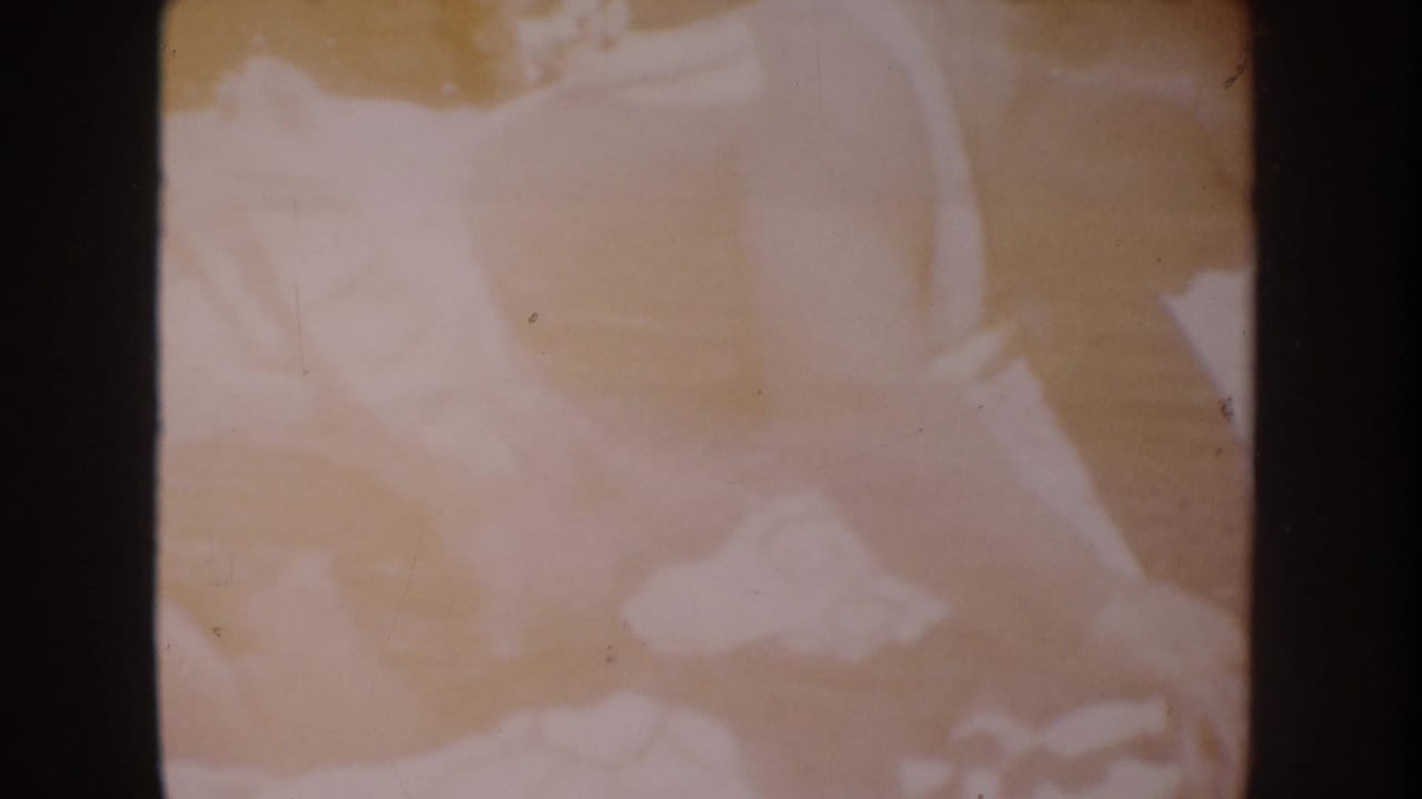 Soft blurred pale forms within a dark-bordered 8mm frame.