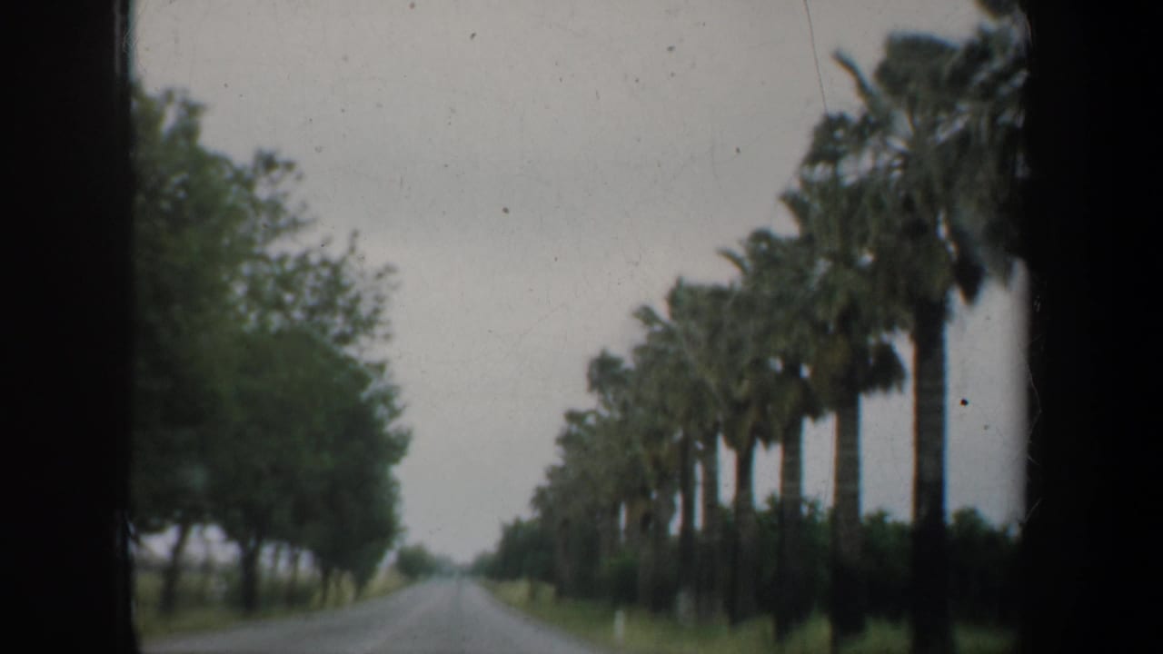 1957 home-movie frame showing a quiet San Francisco-area road lined with palms and green trees beneath gray sky.