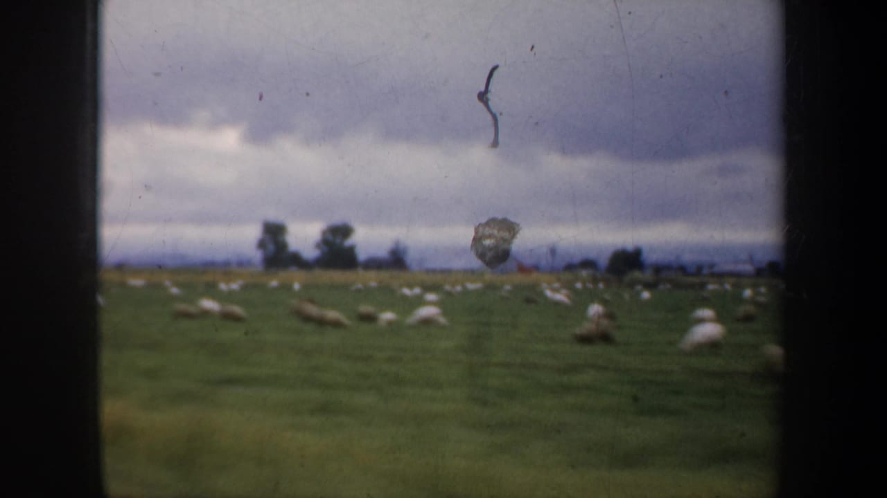Sheep scattered across a grassy field beneath a cloudy sky.