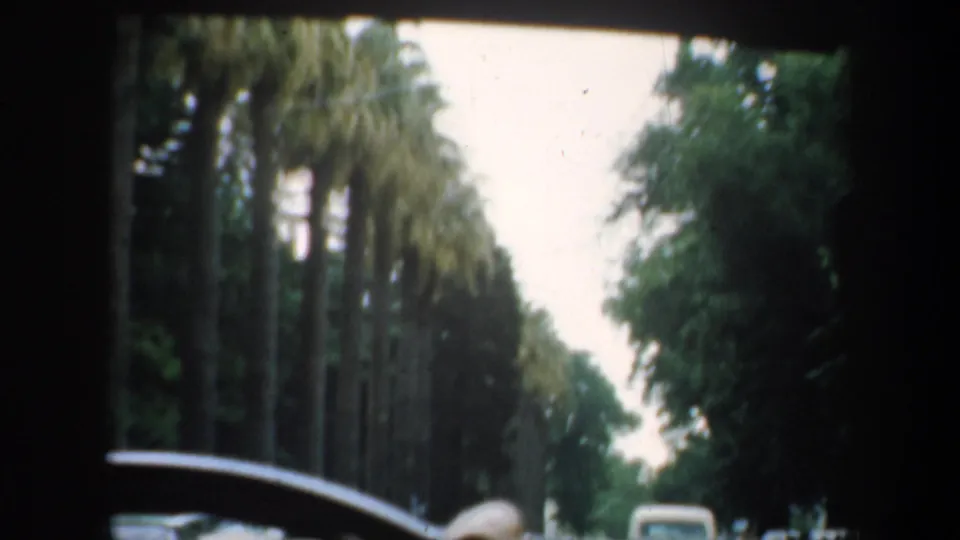 1957 San Francisco home-movie view from a car, looking past the dashboard area toward palms, roadside trees, and traffic ahead.