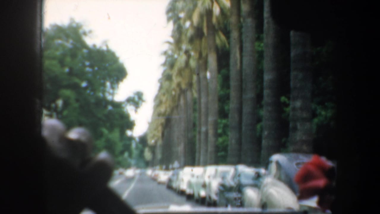Palm-lined street seen from inside a moving car, with parked cars and a red-clad person near the curb.