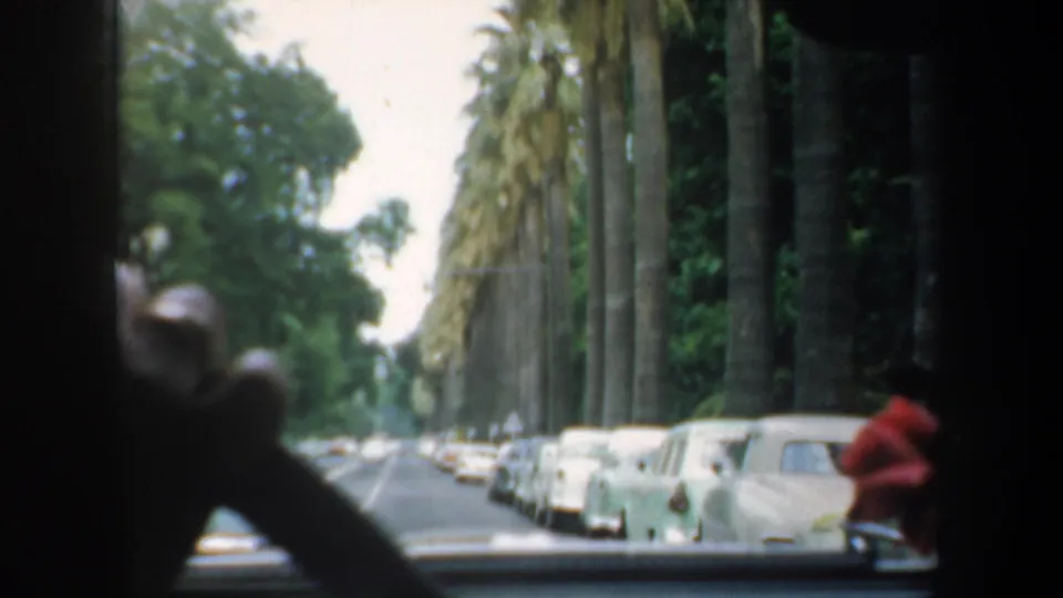 From inside a moving car in 1957 San Francisco, parked 1950s vehicles line the curb beneath tall palms as a person in red appears to the right.