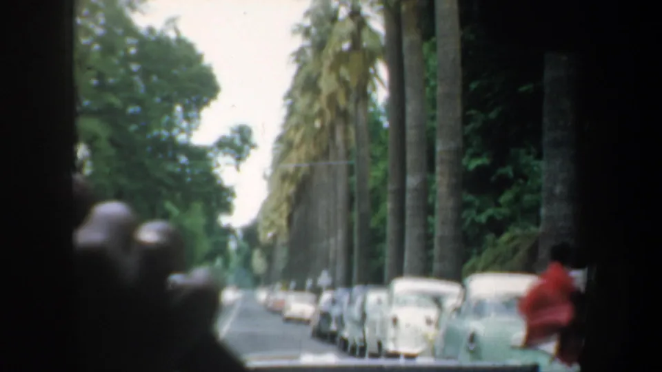 1957 San Francisco driving frame with rows of parked cars, tall palms, soft focus, and a red-clad pedestrian near the right curb.
