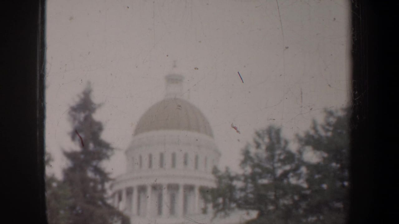 Distant domed civic-looking building in San Francisco, partly hidden by trees in a soft, scratched 8mm frame.