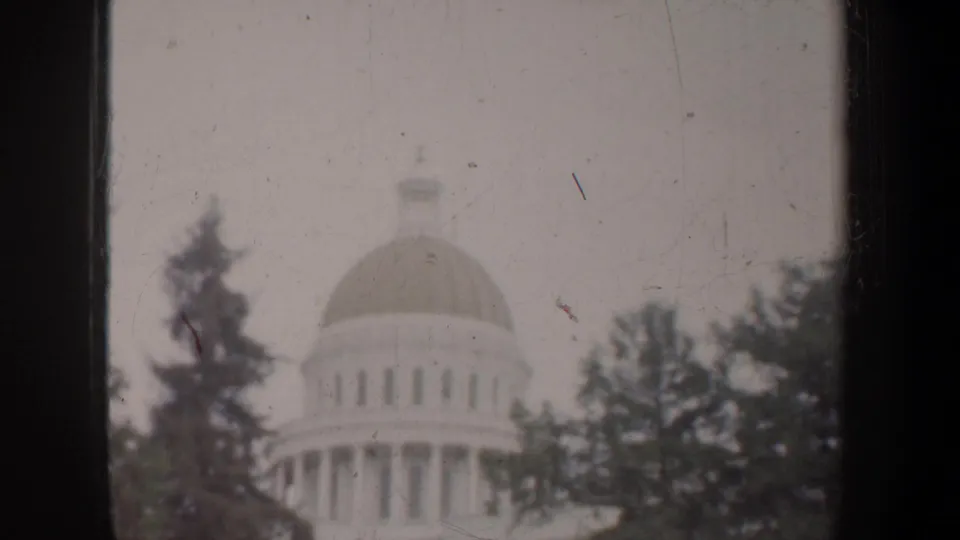 Distant domed civic-looking building in San Francisco, partly hidden by trees in a soft, scratched 8mm frame.