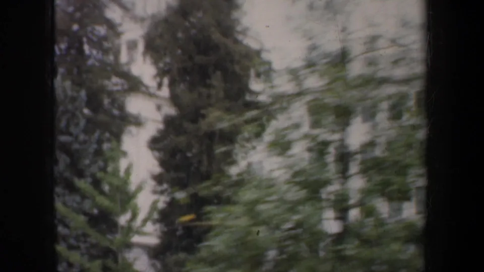 Moving 8mm view of trees sweeping past a pale domed building in San Francisco, with motion blur and soft focus.