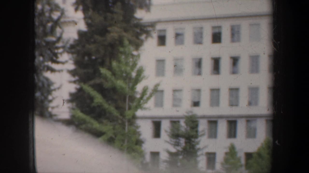 White multi-story building seen through a dark vehicle window frame, with trees in front.
