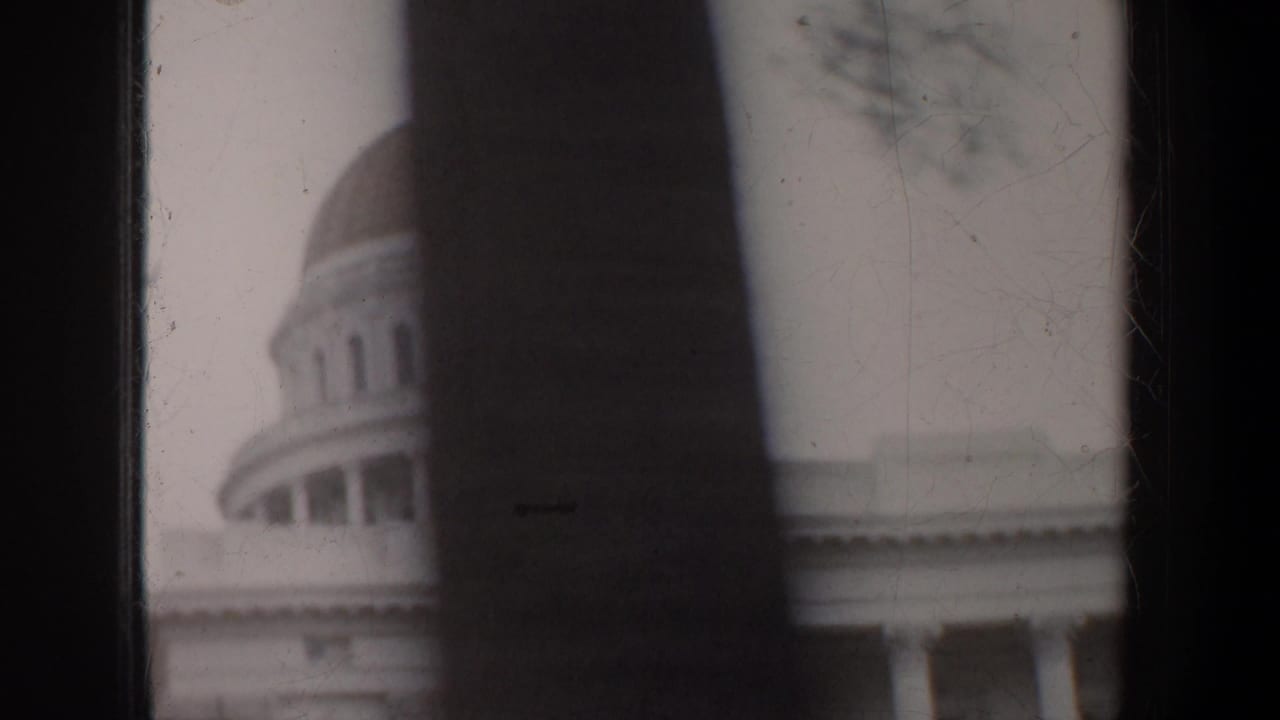 Soft view of a domed capitol building partly blocked by a dark tree trunk.