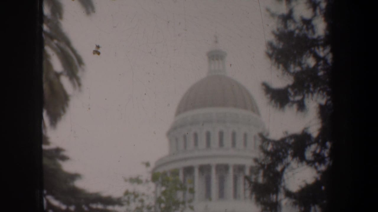Domed capitol building framed by trees and a palm frond in hazy daylight.
