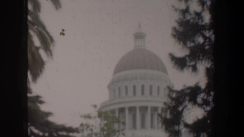 The California State Capitol dome appears in the distance through trees, with muted color and soft 8mm texture.