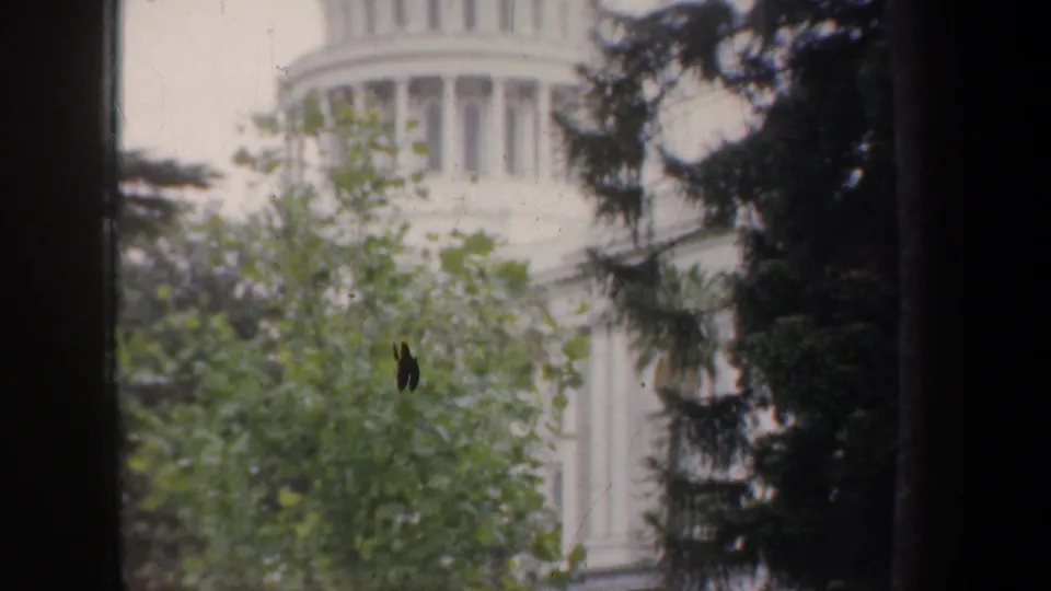 A 1950s 8mm frame shows a domed capitol building partly obscured by green trees and dark film-edge framing.