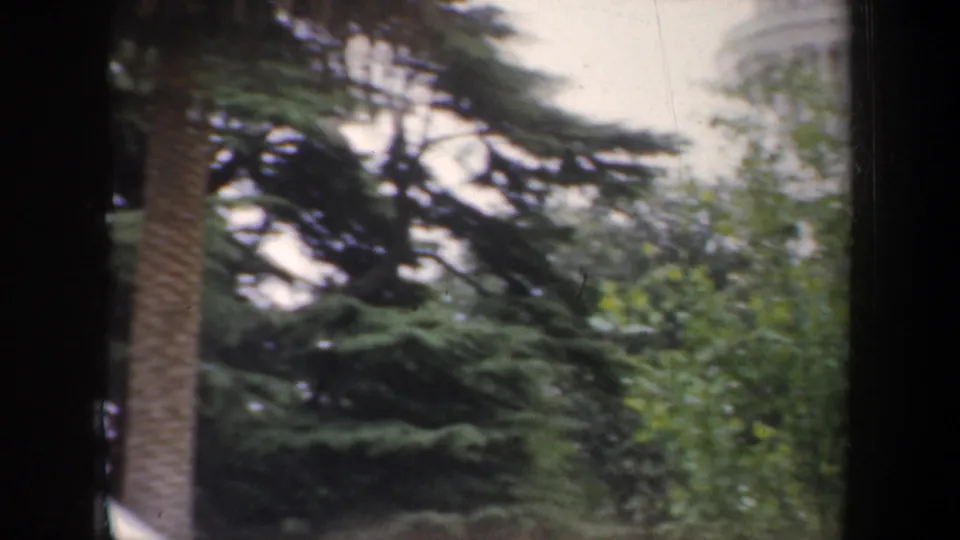 A moving 8mm view catches trees, a palm trunk, and a partial view of the capitol dome at the frame edge.