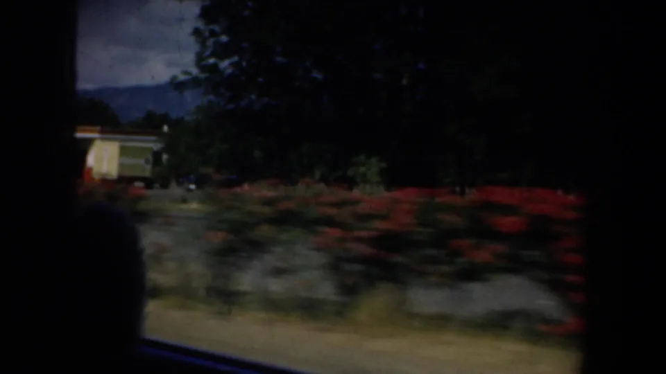 Moving-car view of roadside landscaping with red flowers, dark trees, a low structure and distant hills in soft 8mm color.