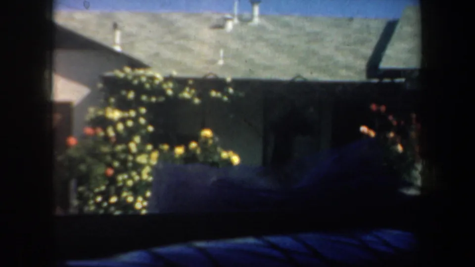 1957 San Francisco-area 8mm frame showing flowering bushes, a low roofline, and bay water beyond a residential yard.