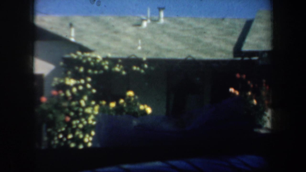 1957 San Francisco home-movie view from inside a car toward flowering shrubs and a low residential roof.