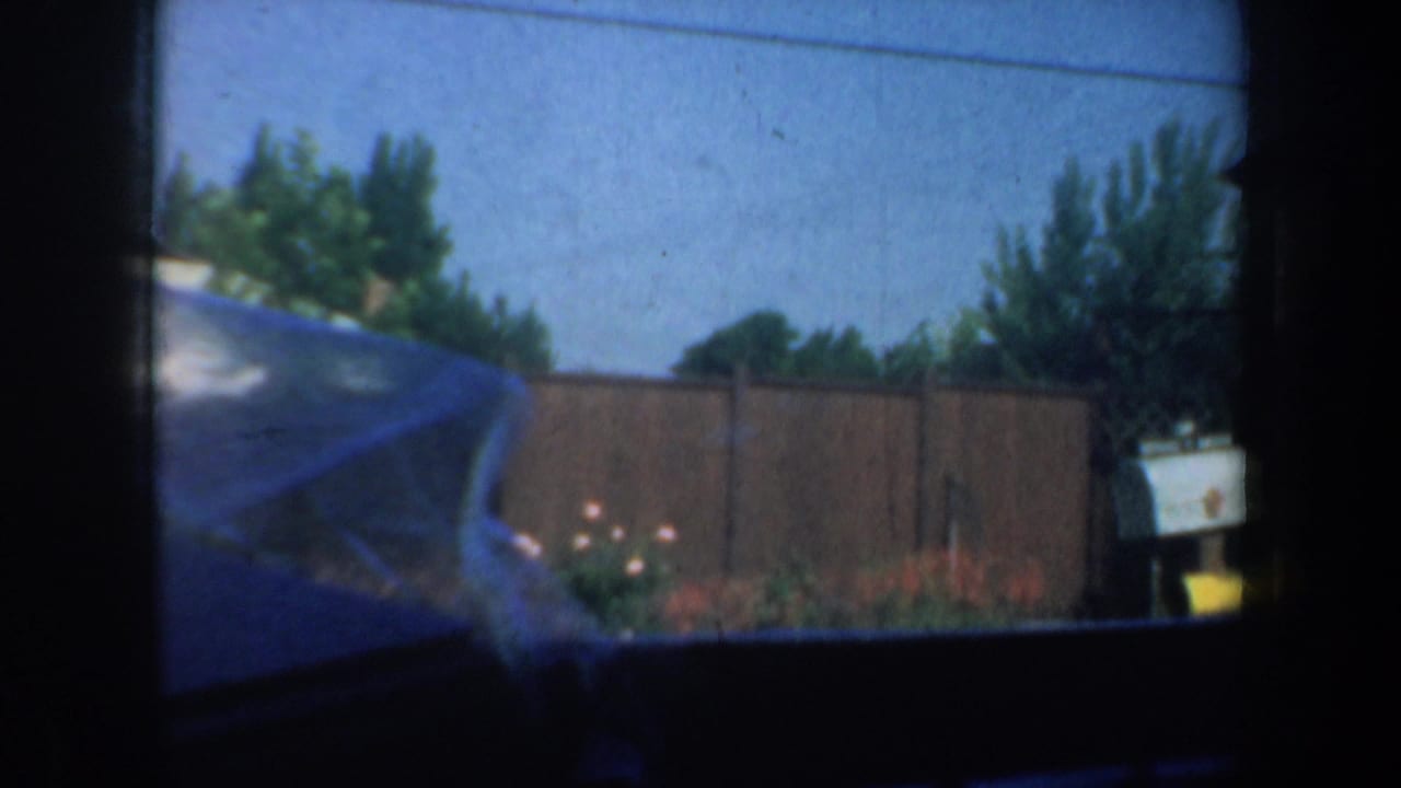 Car-window view of a wooden fence, trees, flowers, and a mailbox.