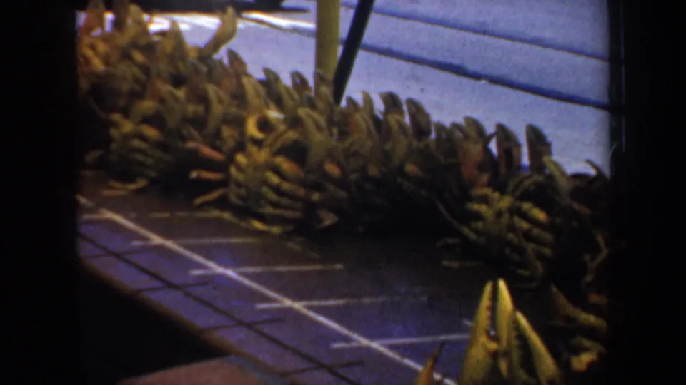 Close view of stacked bananas at what appears to be a market or dockside display near the Fisherman's Wharf sequence.