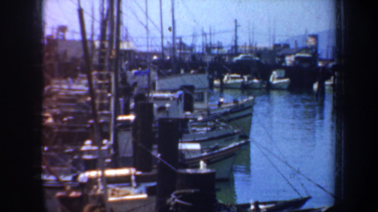 Harbor channel lined with moored boats, masts, and dock posts under daylight.