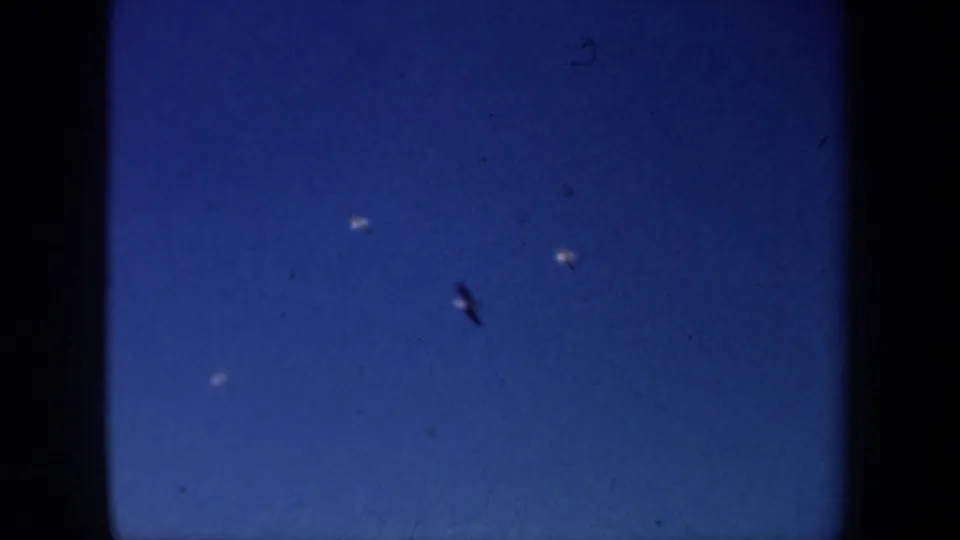 1957 San Francisco 8mm frame showing small gulls crossing a saturated blue sky with visible film grain and gate edges.