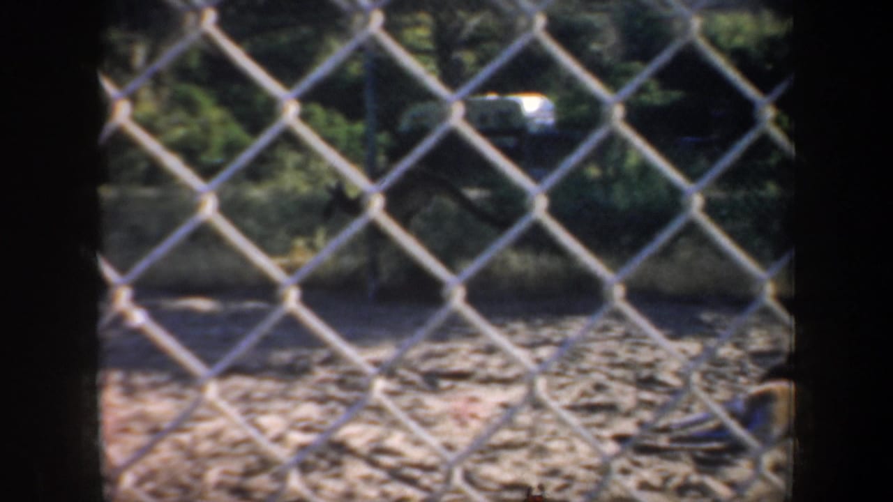 1957 San Francisco 8mm frame looking through a chain-link zoo fence toward a dark enclosure area and greenery.