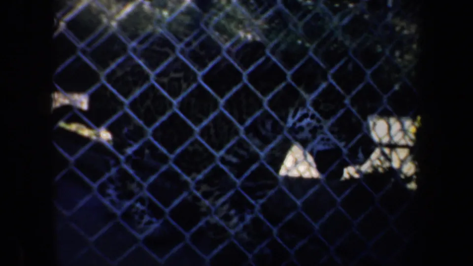 1957 San Francisco 8mm frame showing a raccoon-like animal behind chain-link fencing in a dim zoo enclosure.