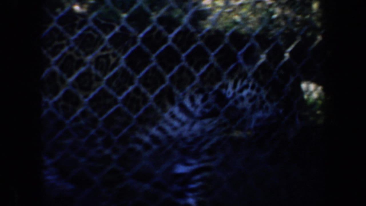 Spotted big cat partly obscured behind chain-link fencing in a dark enclosure.