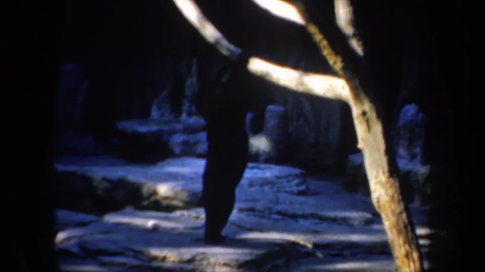 The bear remains upright beside the bright branch, silhouetted against a dim constructed zoo habitat in 1957 San Francisco footage.