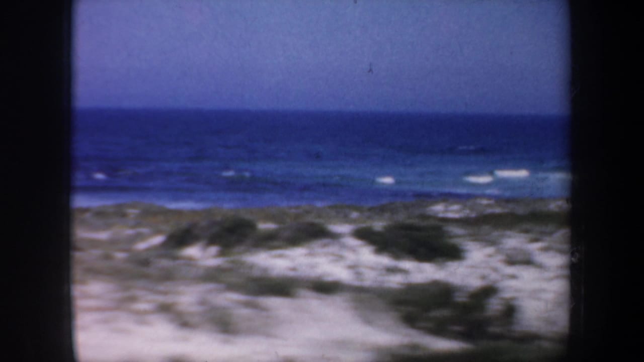 Sandy shoreline and low brush in front of blue ocean waves under a clear sky.