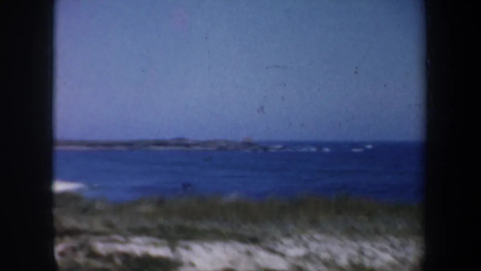 1957 San Francisco coastal view across blue water toward a distant low shoreline, with dunes and grasses at the bottom of frame.