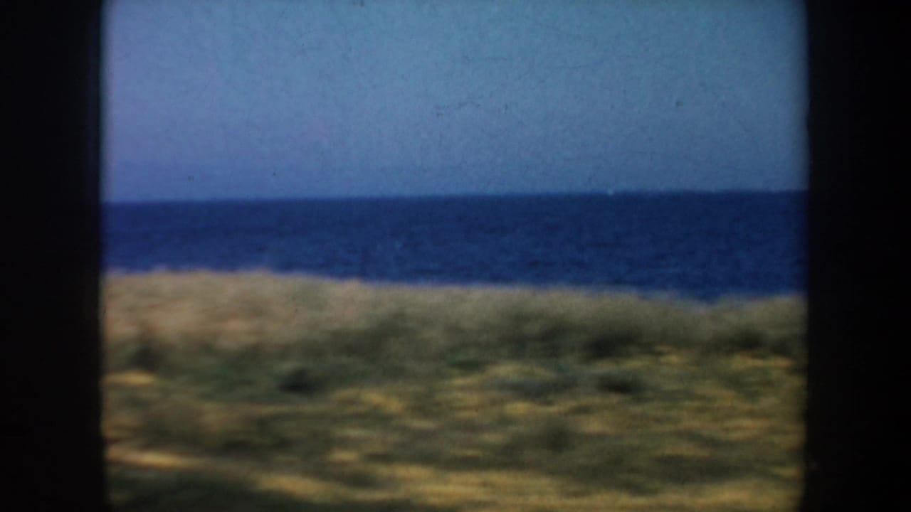 Distant ocean horizon and grassy coastal foreground behind dark frame bars.