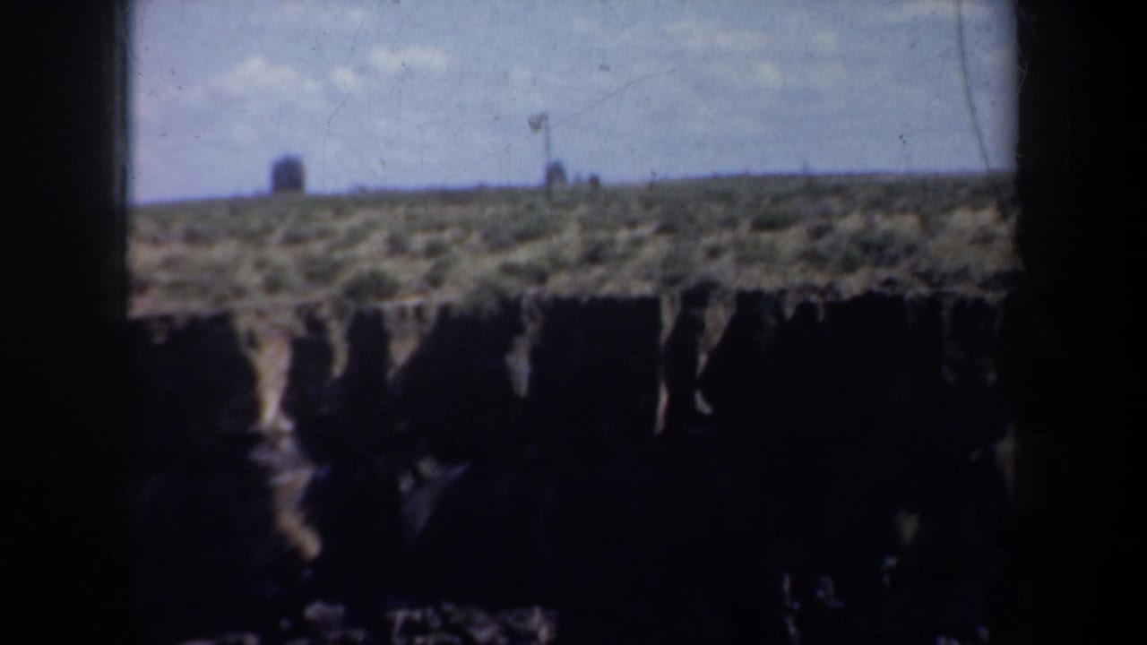 Wide canyon rim with pale sky, scrubby vegetation, and dark cliff shadows below.