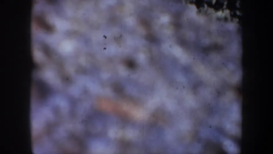 Blurred 8mm frame from the Portland, Oregon-associated clip, showing indistinct ground texture with dark gate edges and visible dust.