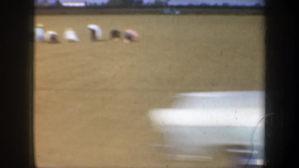 Distant field workers in an open agricultural landscape, with a bright foreground blur and low horizon beyond the field.