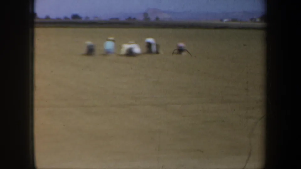 1957 Oregon home-movie frame showing several distant people working in a broad agricultural field with hills faintly visible.