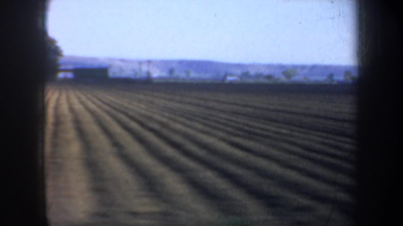 1957 Oregon home-movie view of parallel planted rows stretching across a flat agricultural field, seen from a moving vehicle.
