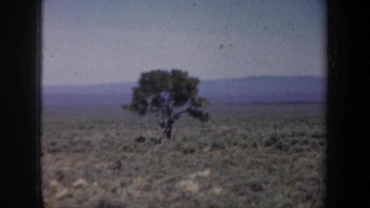 1957 8mm home-movie frame showing a lone tree across arid scrubland with low mountains on the horizon.