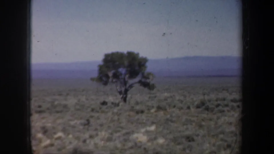 1957 8mm home-movie frame showing a lone tree across arid scrubland with low mountains on the horizon.