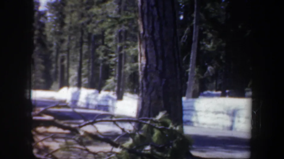 Snow-lined road or path through a wooded Portland winter scene, viewed between dark trunks in 1957 8mm footage.