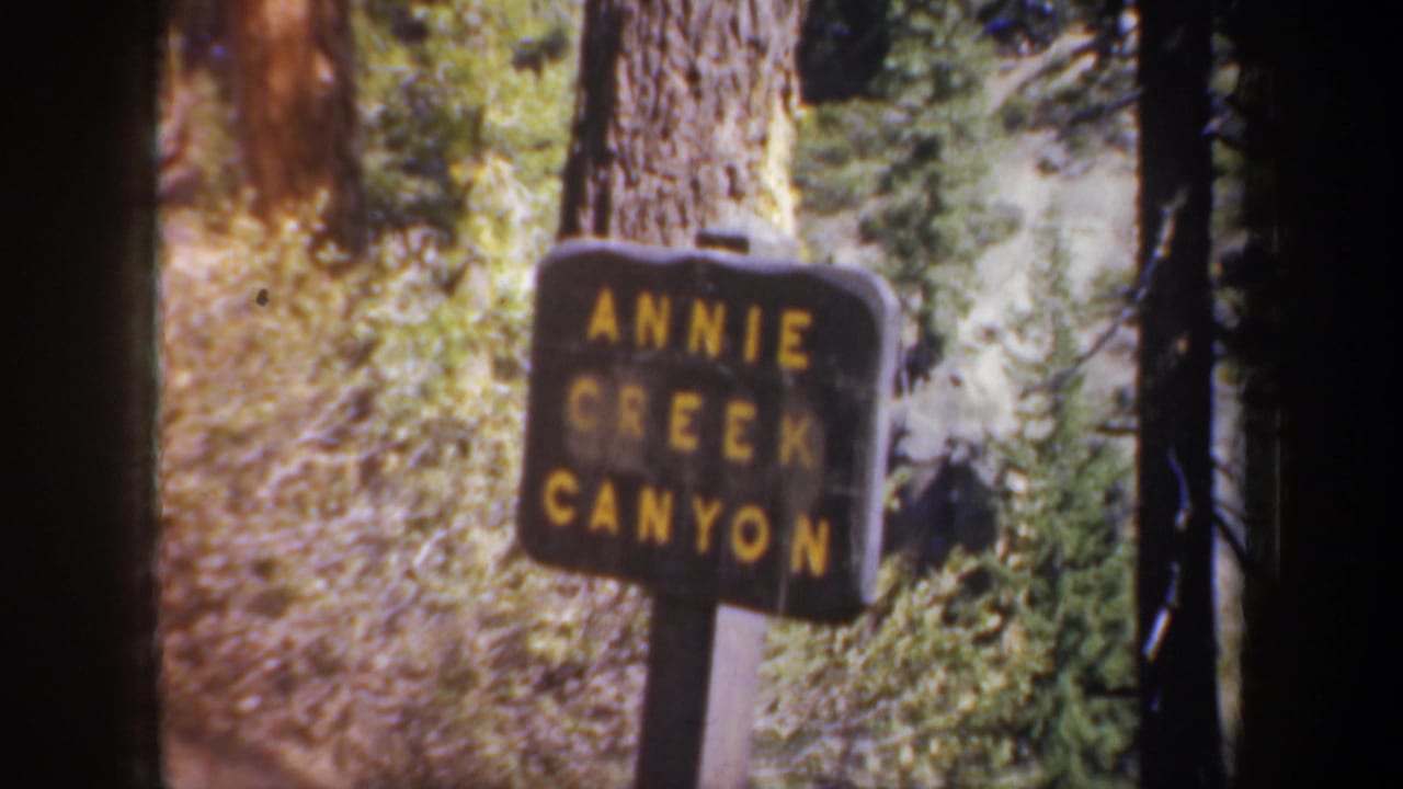 Annie Creek Canyon sign beside trees and brush.