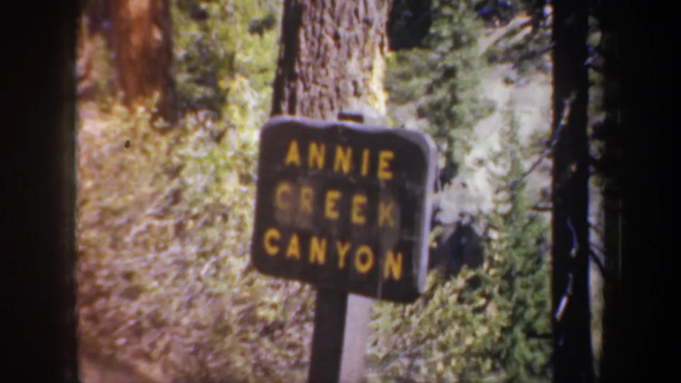 Close view of a dark wooden Annie Creek Canyon sign with yellow lettering beside forest undergrowth.